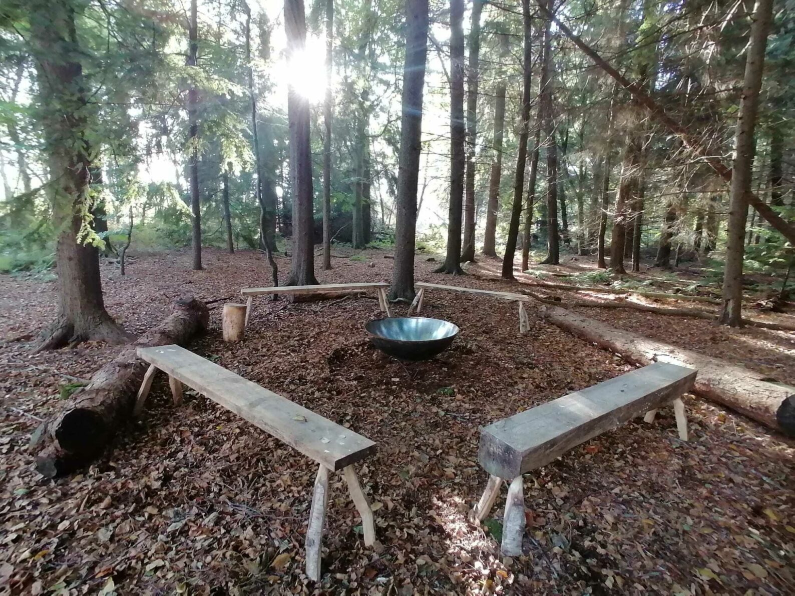 Woodlands grove Service