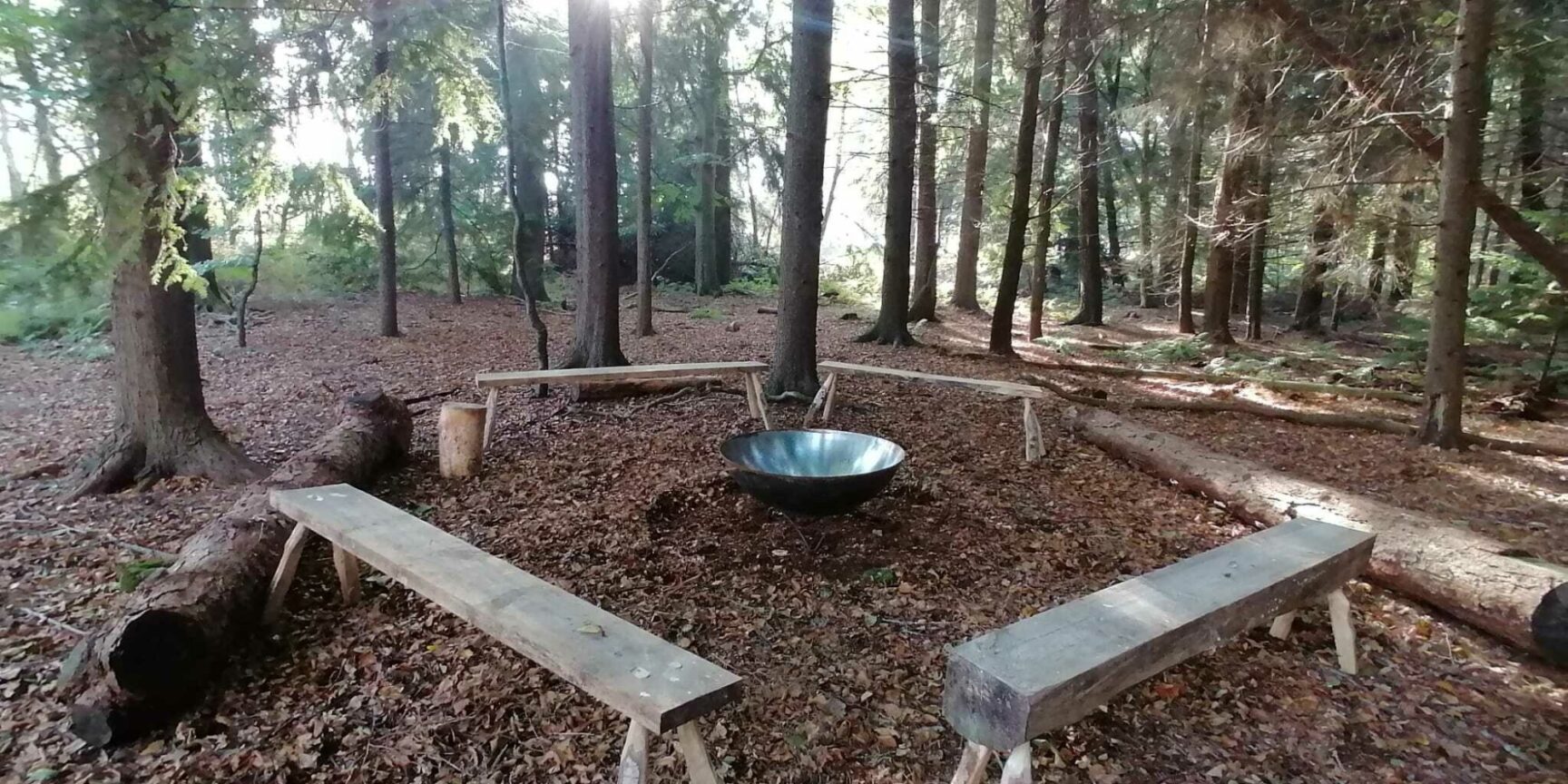 Woodlands grove Service